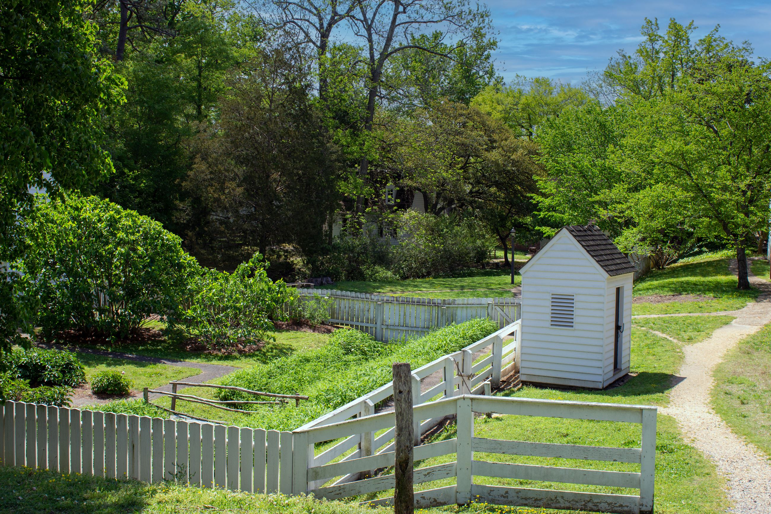 williamsburg animal control