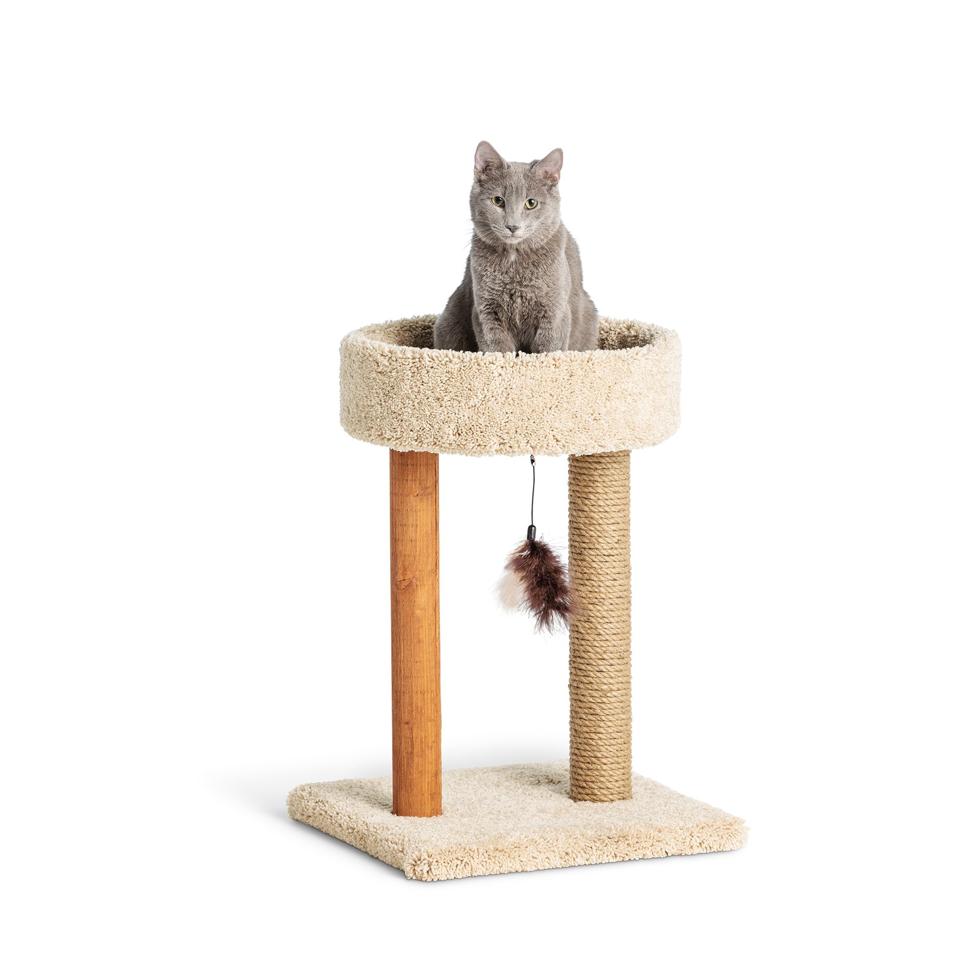 pet smart cat tree