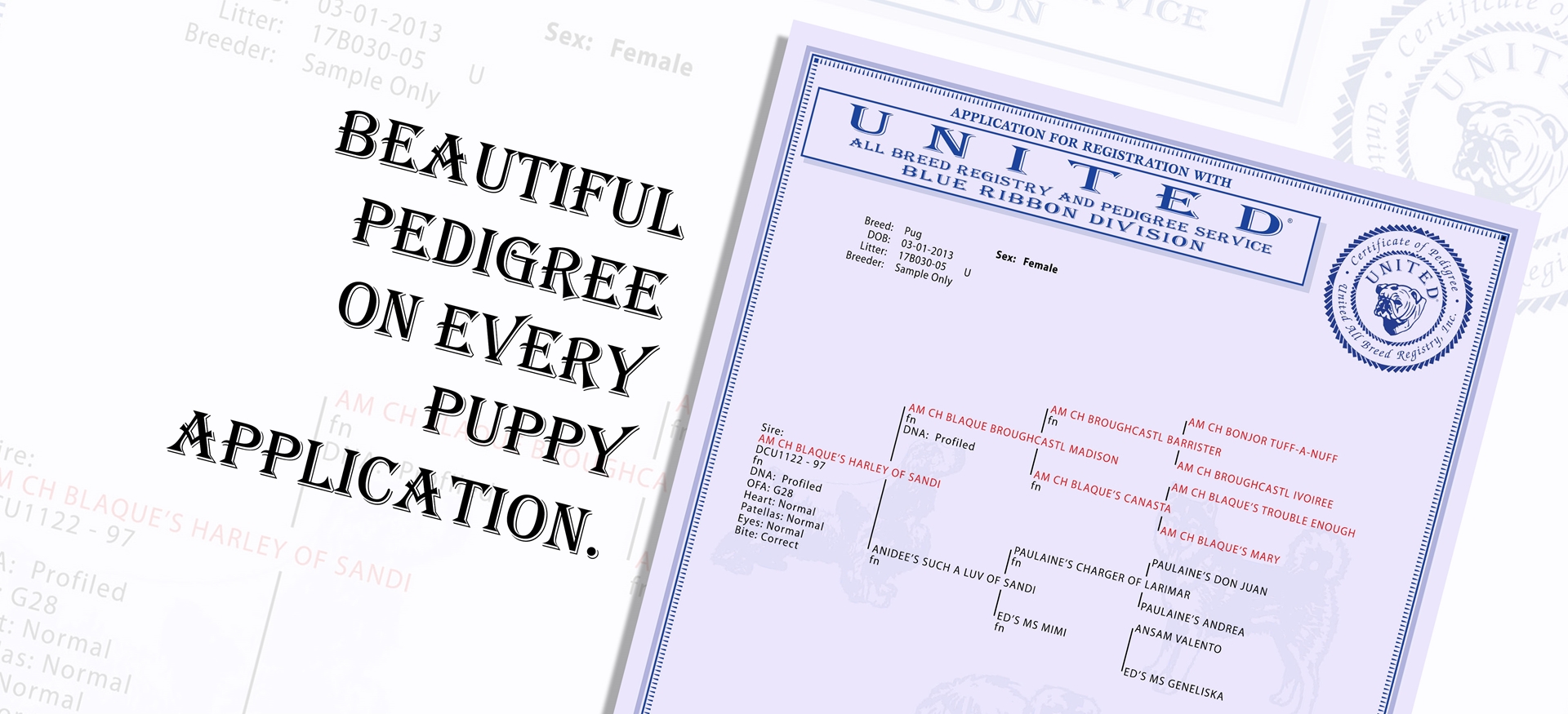 united all breed registry