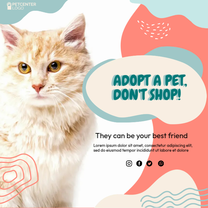 cat adoption advertisement