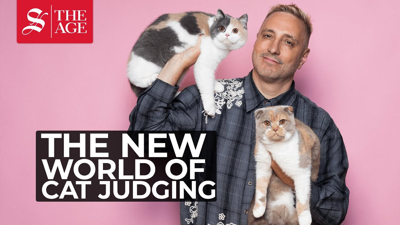 loving cats worldwide