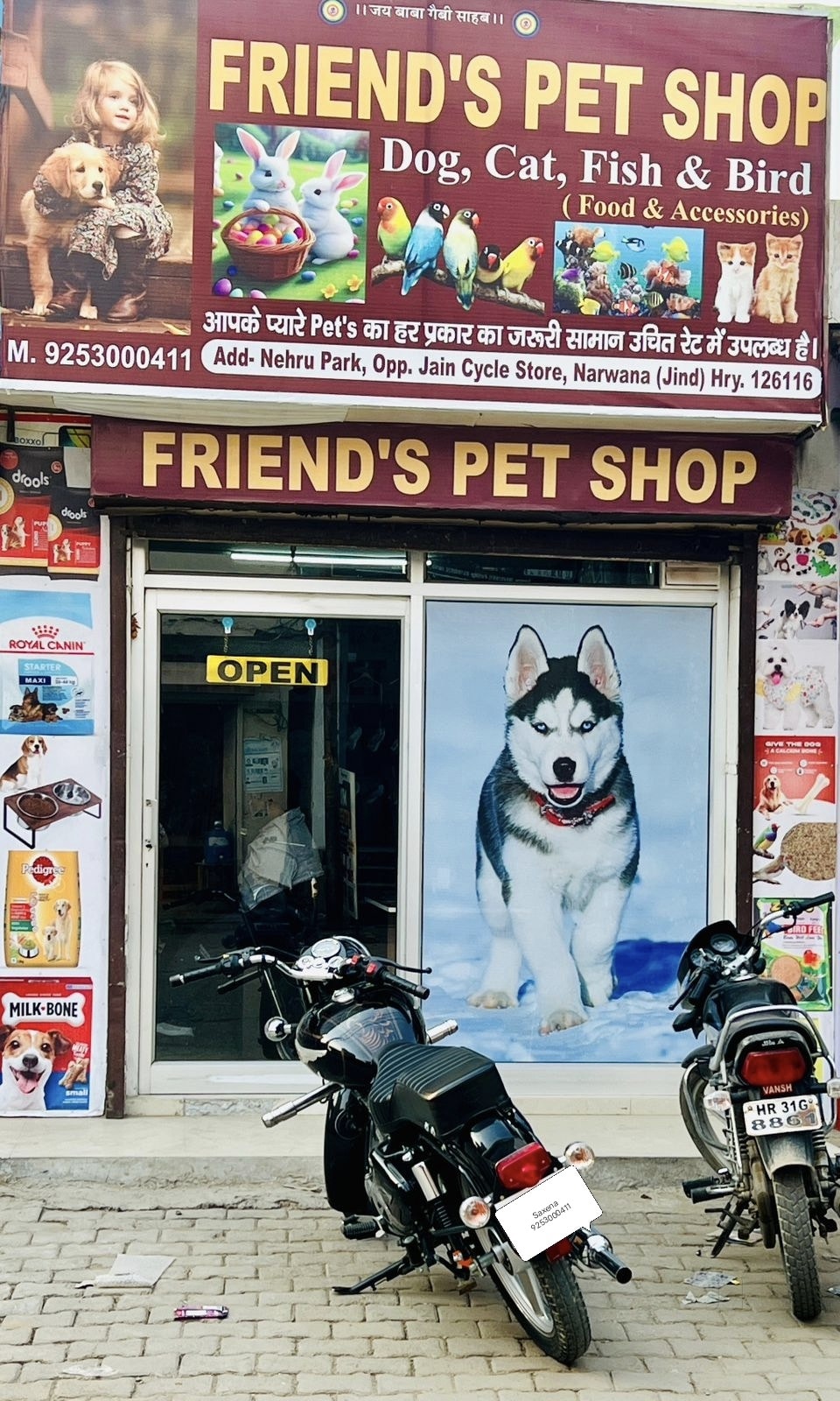 pet shop with animals near me