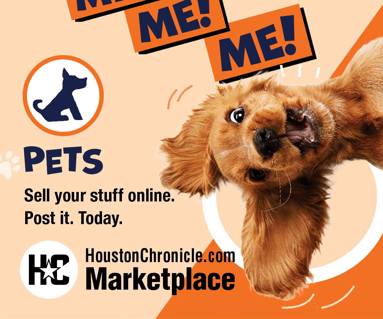 classified ads dogs for sale