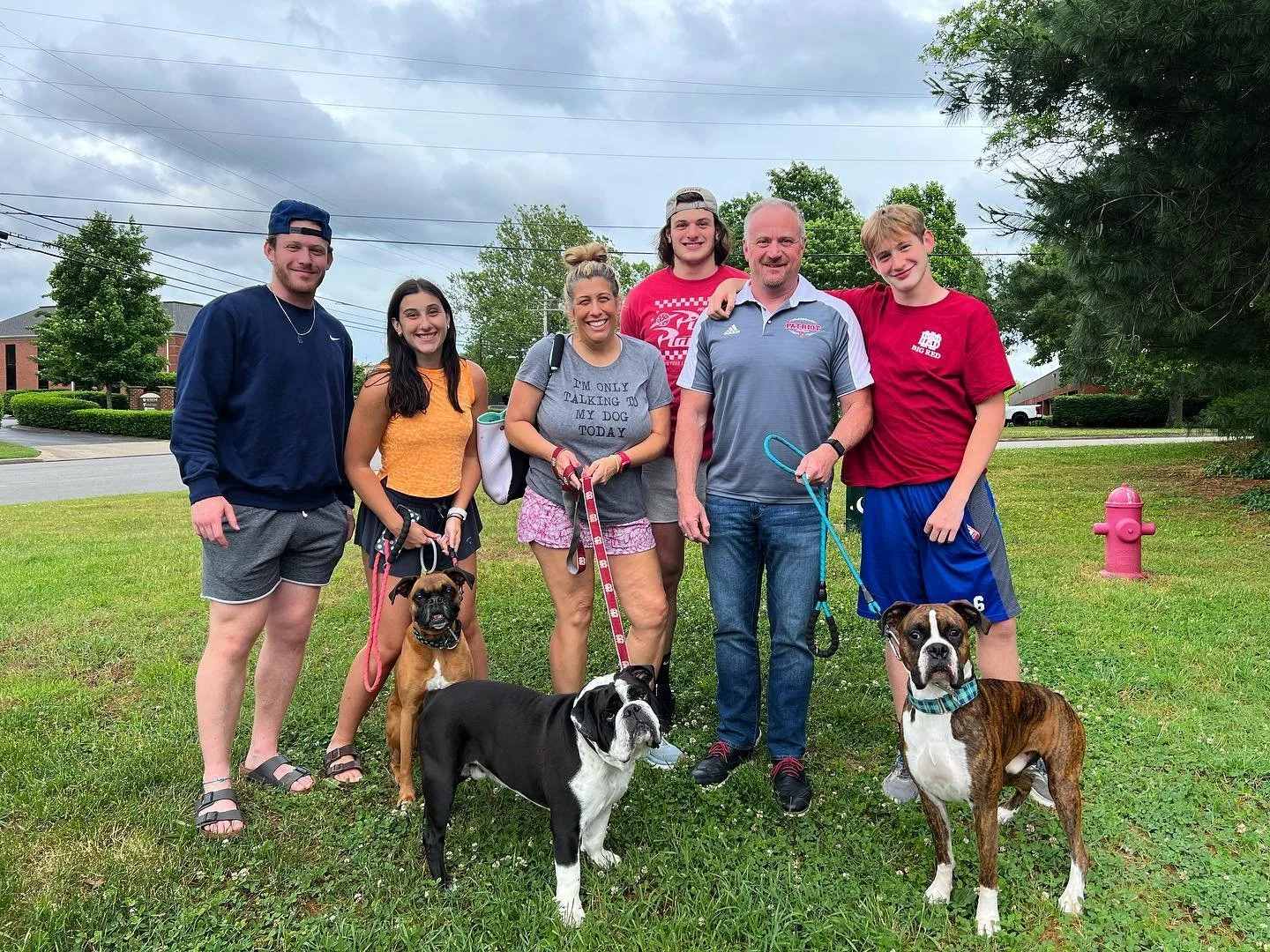 tennessee boxer rescue