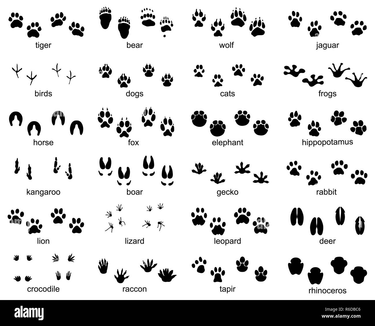 rabbit paw prints