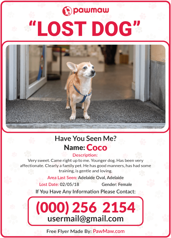 petfinder lost pets