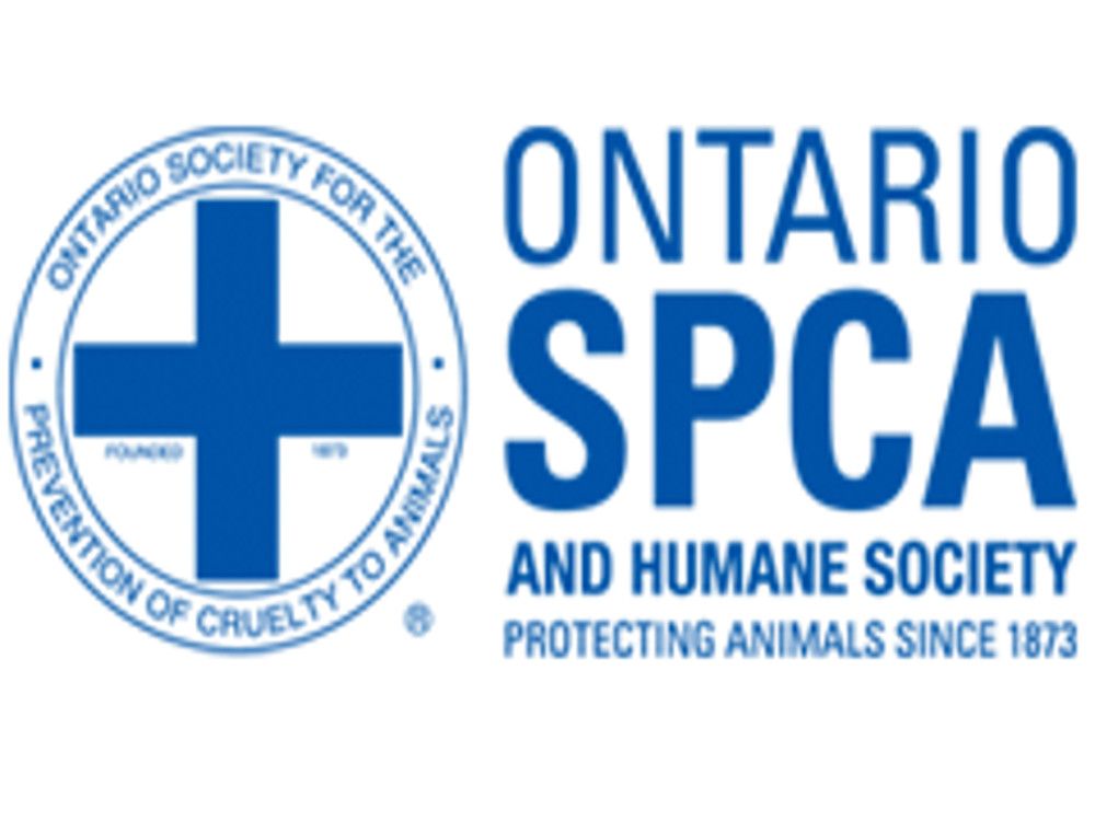 ontario spca