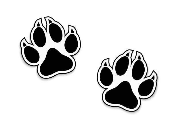 husky dog paw print