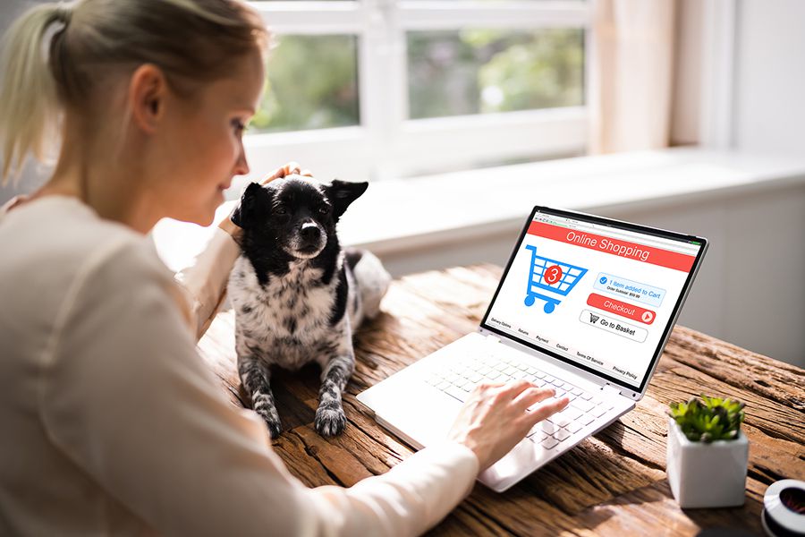 buying dog online