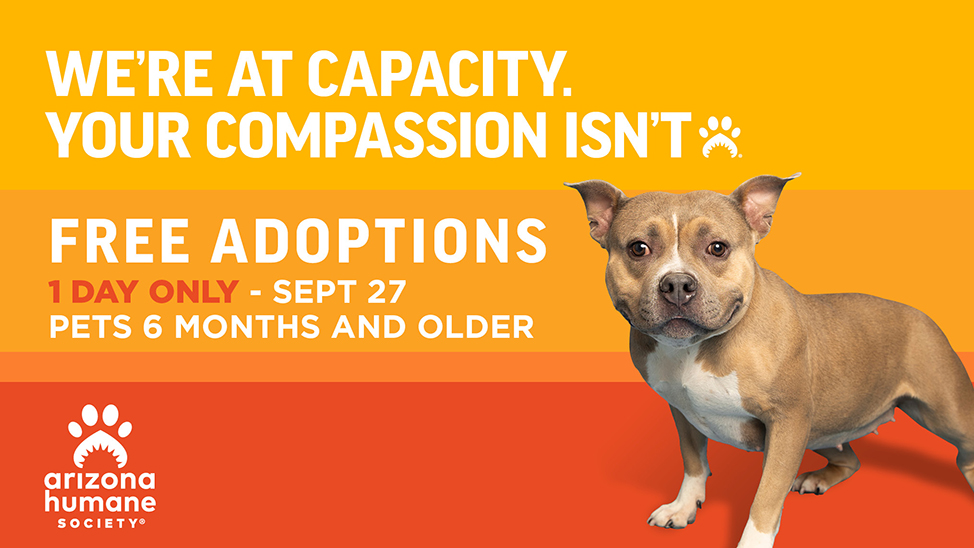 free pet adoption arizona near me