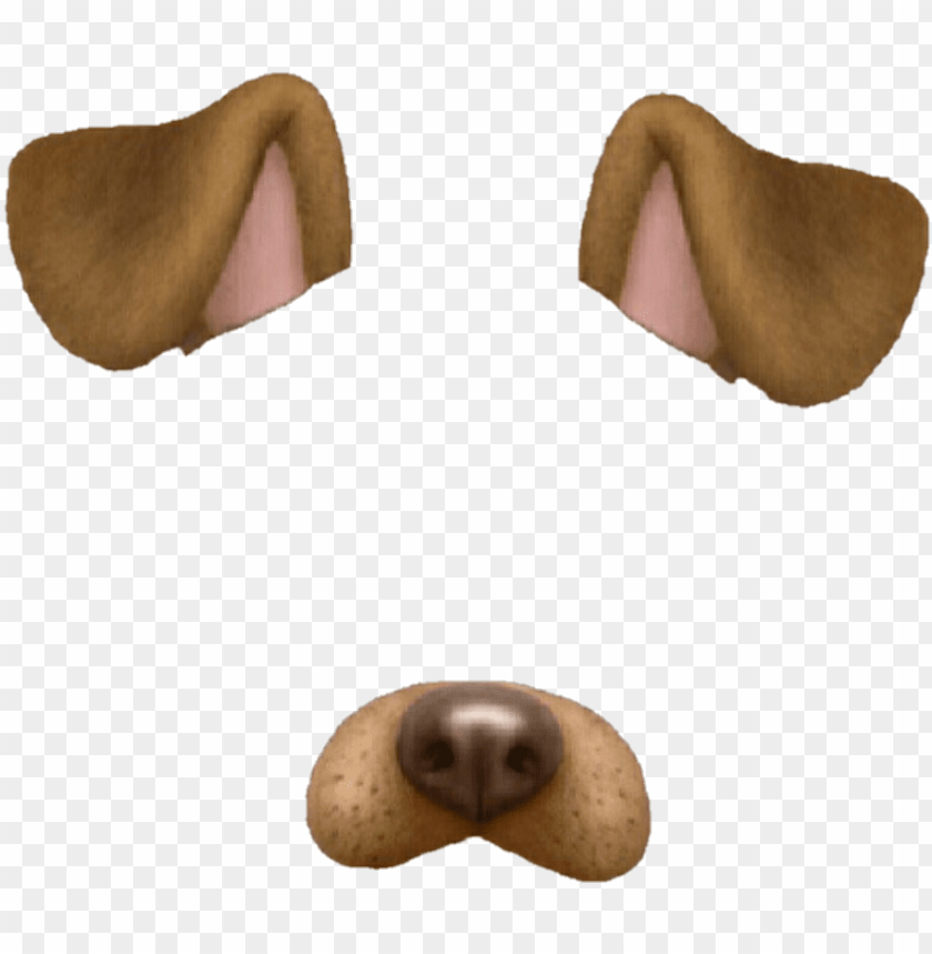 dog filter png