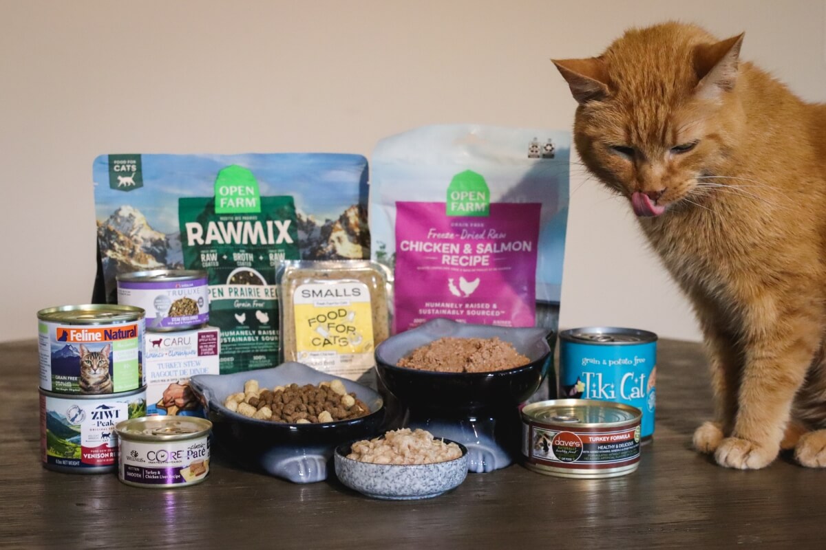 best cat food list