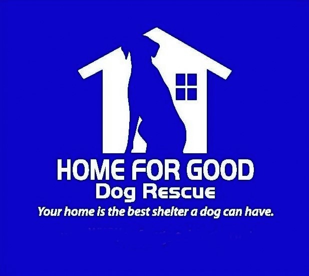 home for good dog rescue nj