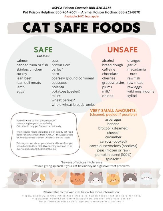 best cat food list