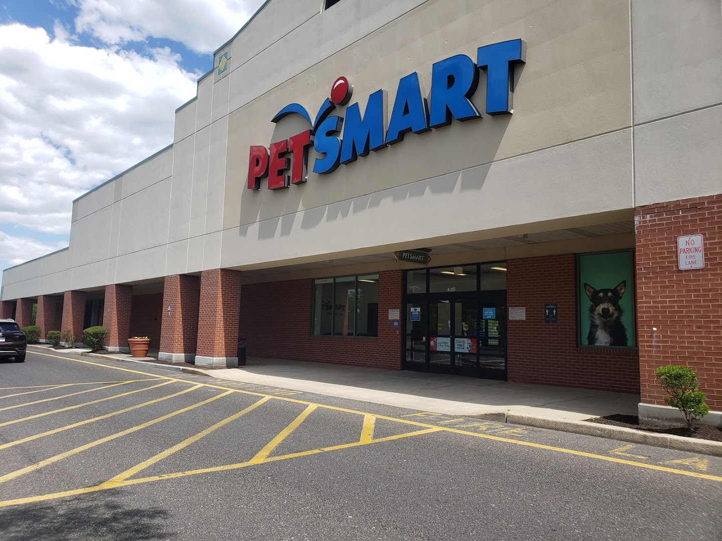petsmart near me now