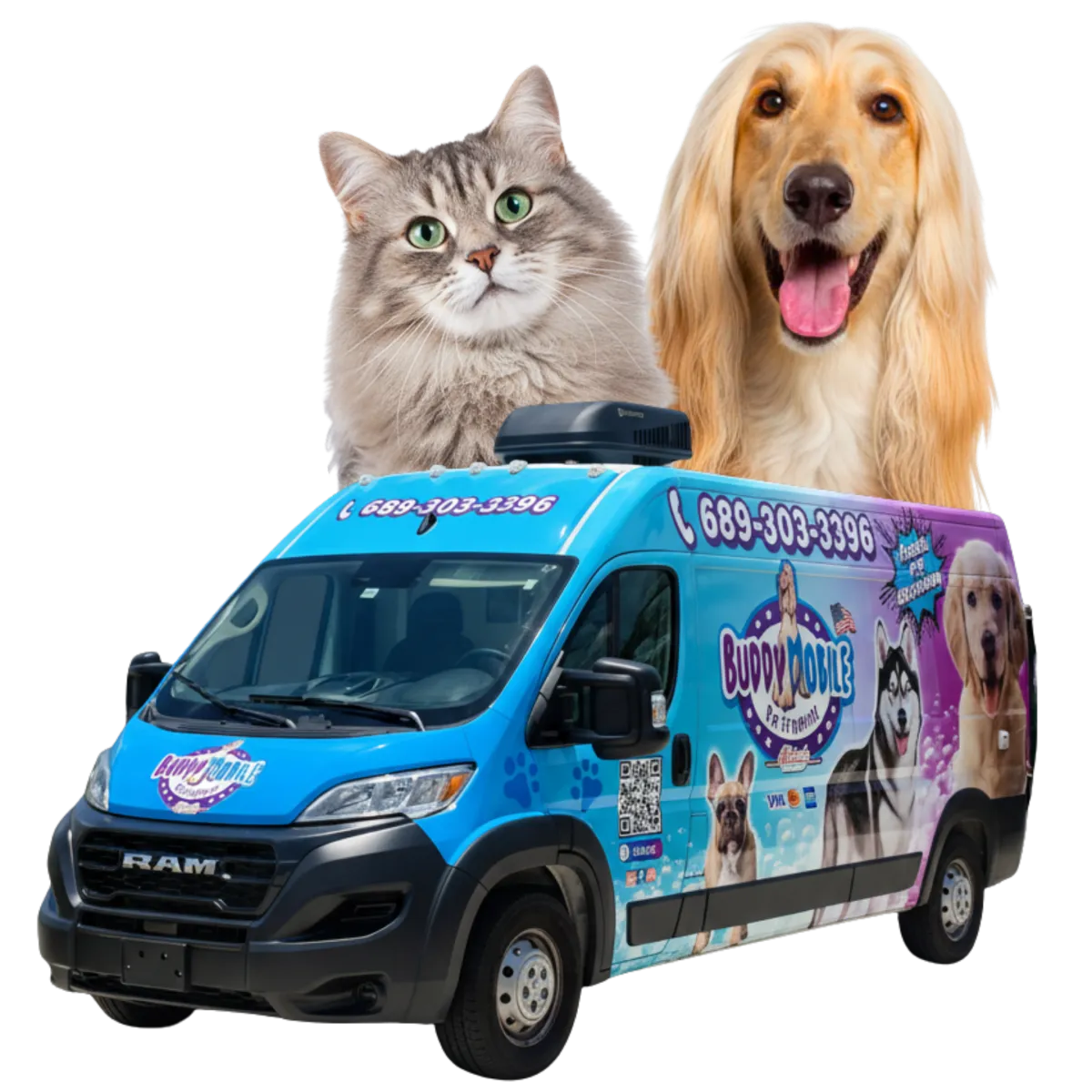 buddy mobile pet grooming