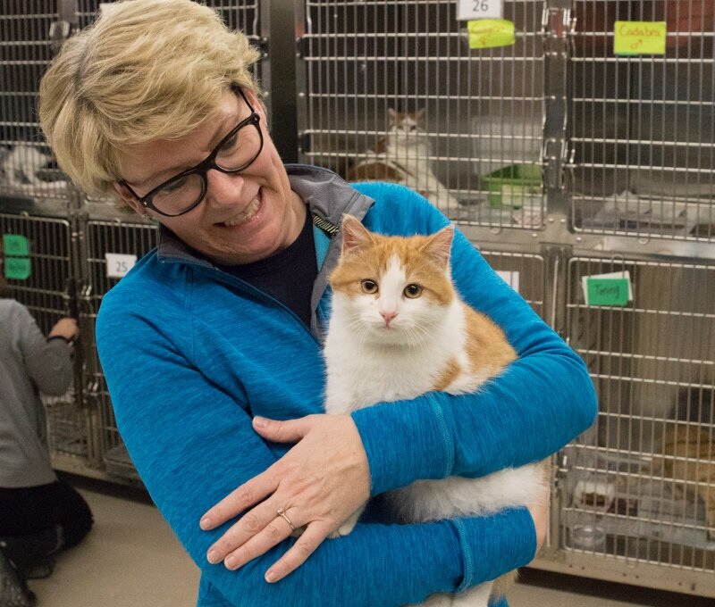 animal shelters in toronto ontario