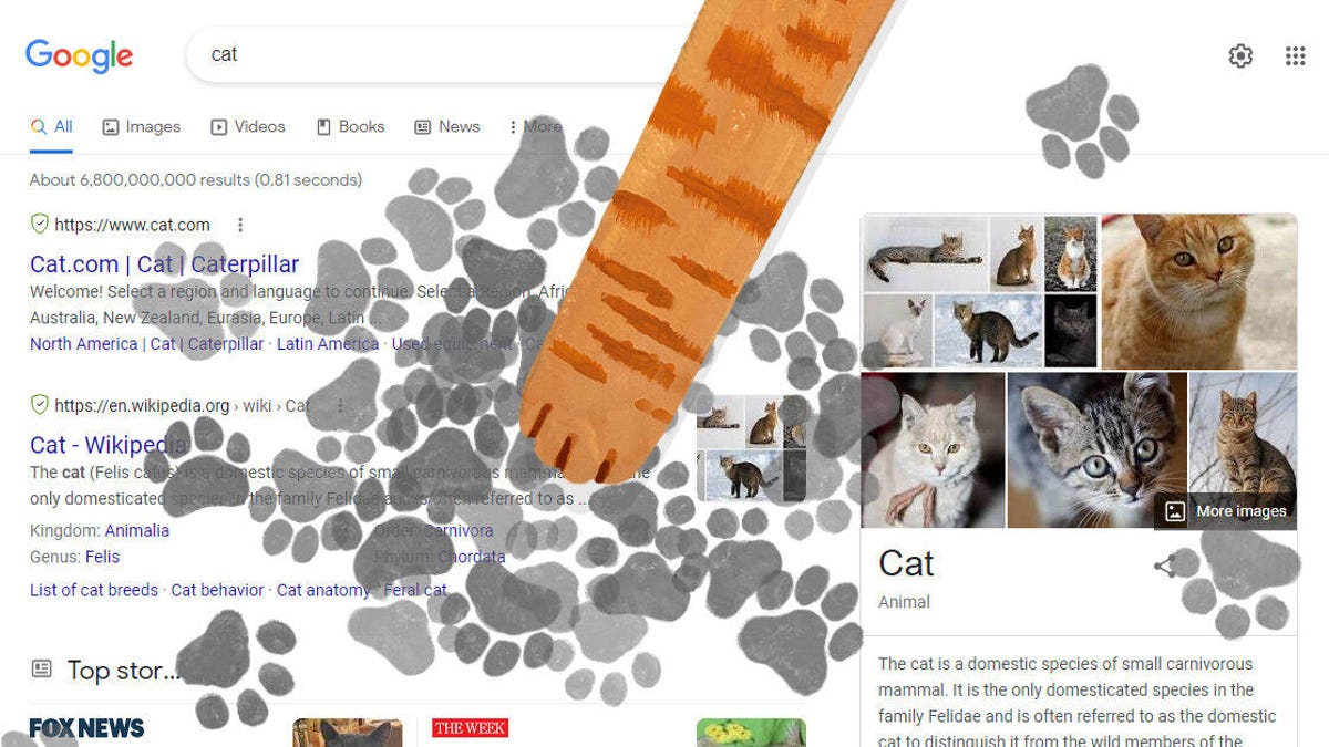 cat paw google