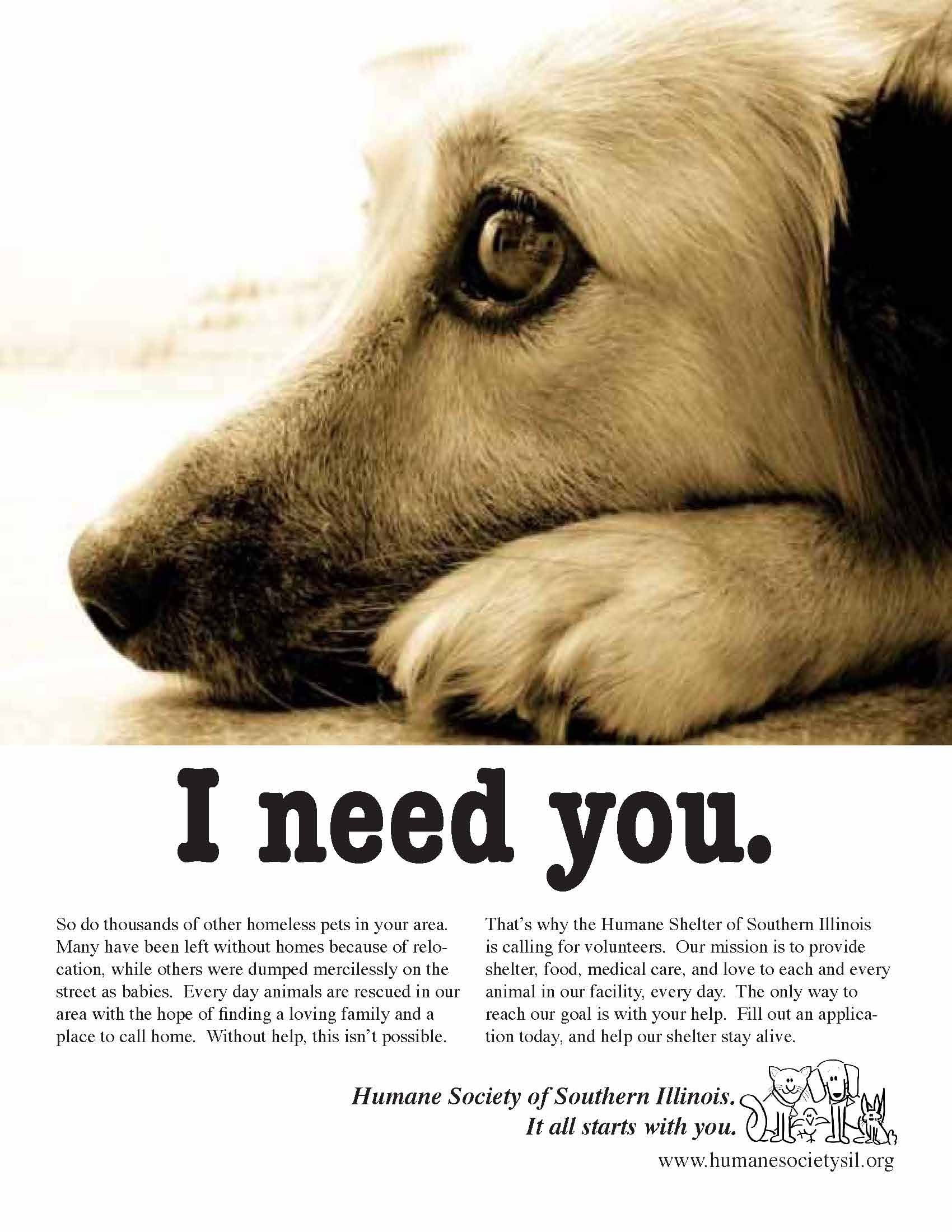 animal shelter ad