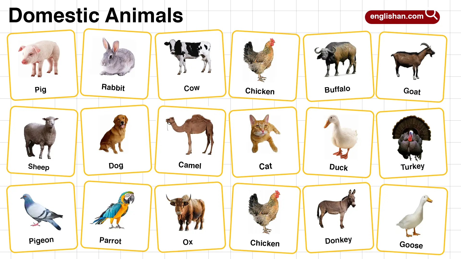 list of domestic animals