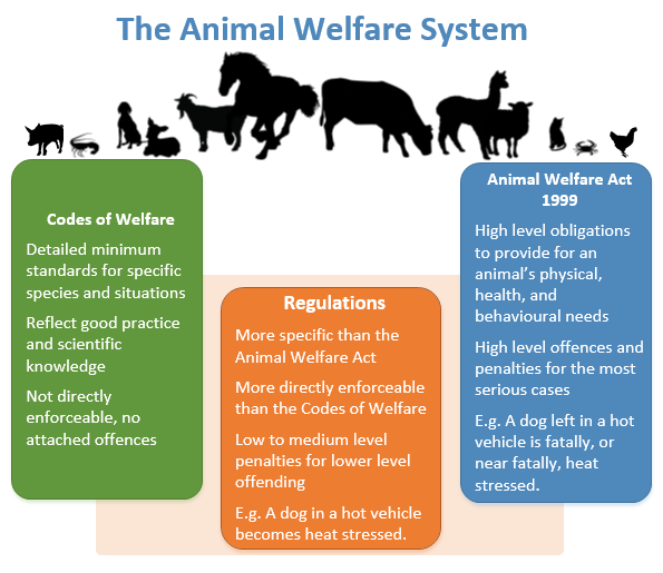 animal welfare nz