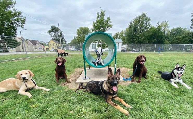 perfect pet bluffton indiana