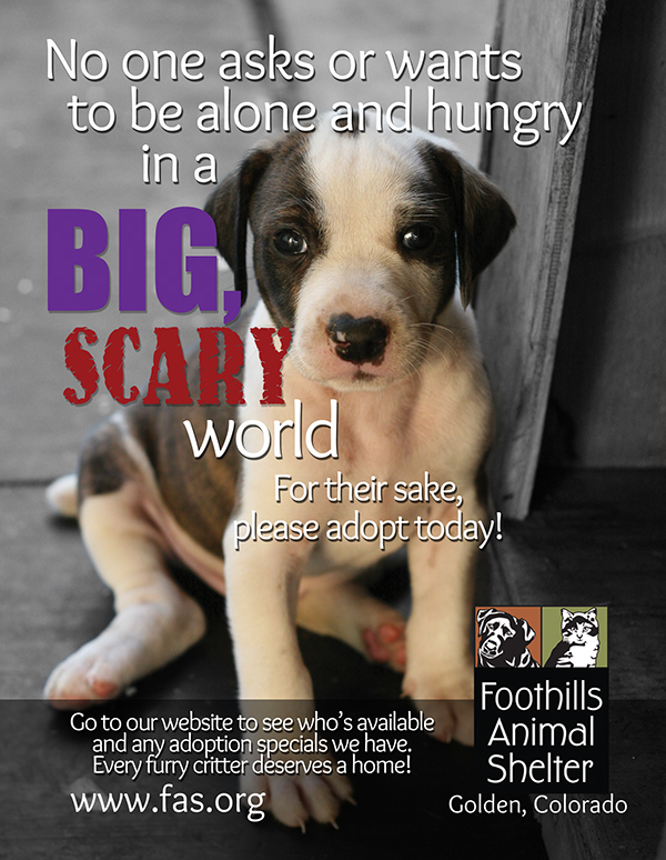 animal shelter ad