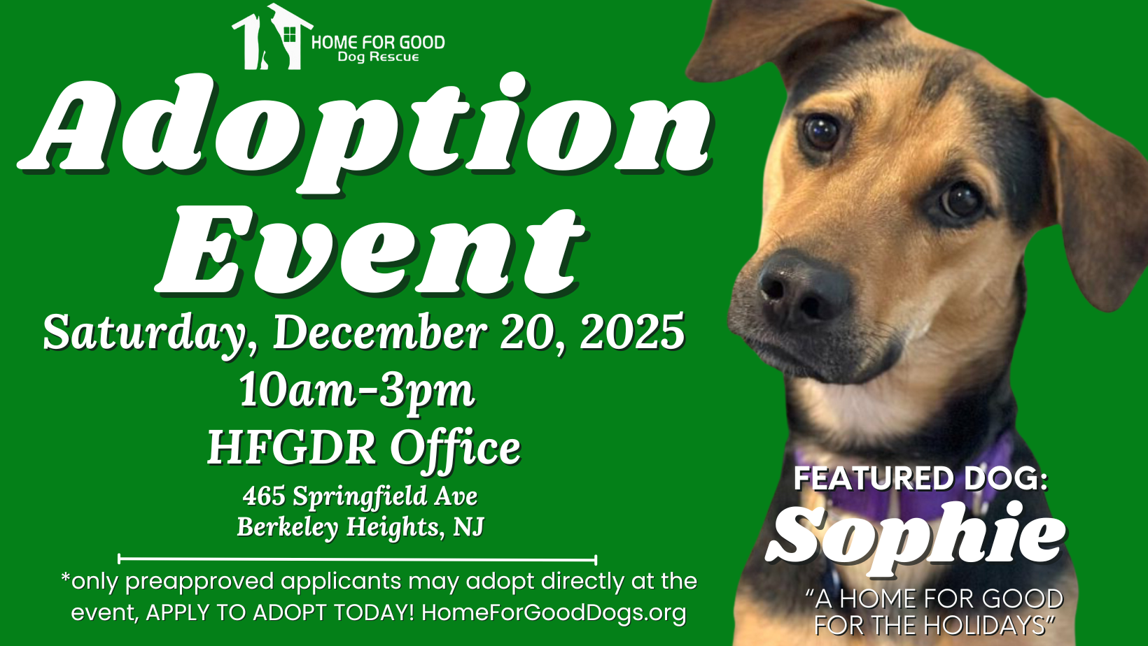 home for good dog rescue nj