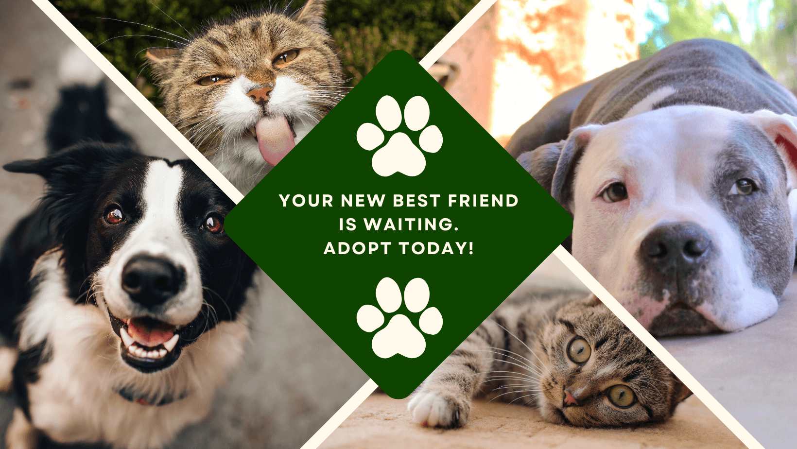 good dog shelters near me