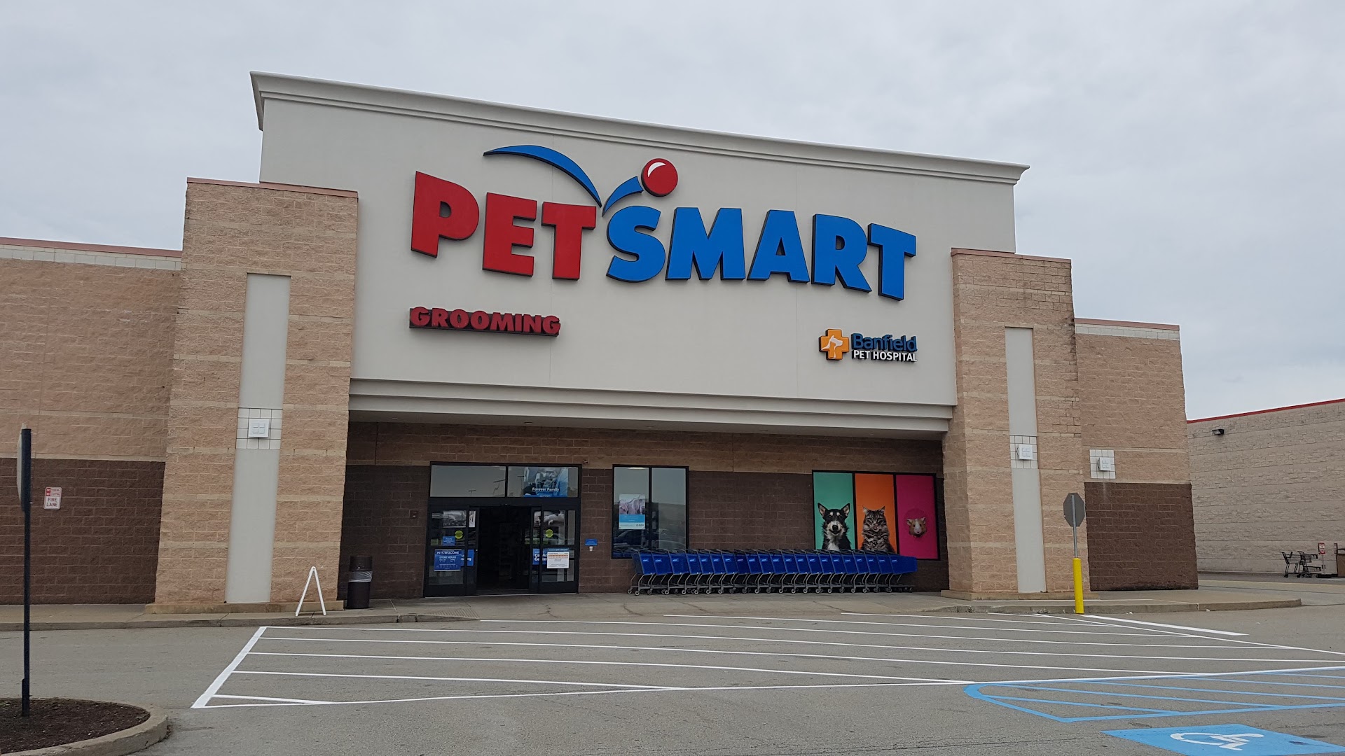 petsmart washington photos