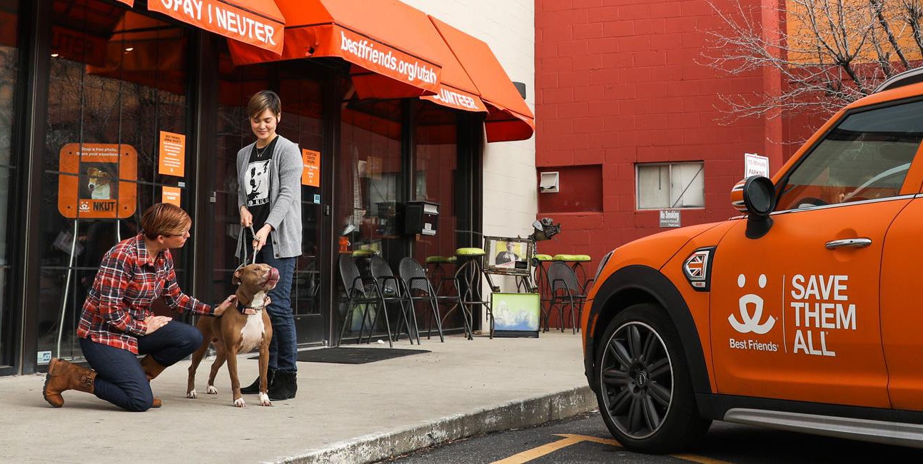 best friends animal society address